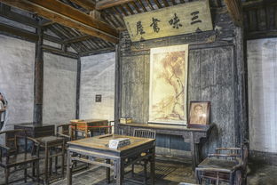 打卡浙江,水边林下行愈远