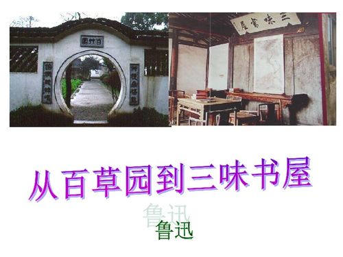 人教版 新课程标准 七年级上册 2016部编 第三单元 9 从百草园到三味书屋课件